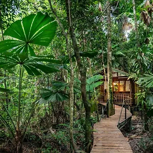 Wilderness *** Daintree